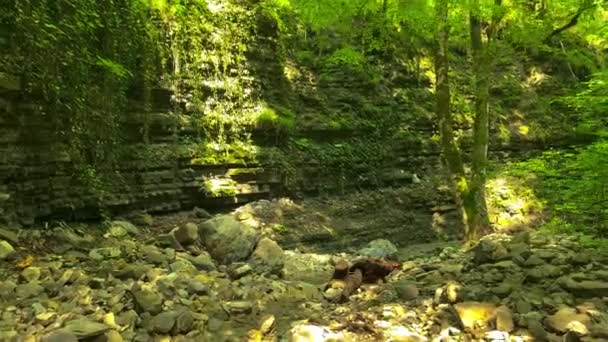 Beautiful Waterfall Najigo Canyon Landscape Nature Caucasus — Stock Video