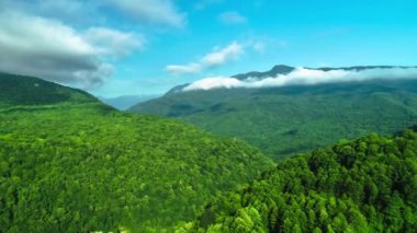 Nice aerial view of the green valley and mountain slopes. Landscape and nature of the North Caucasus