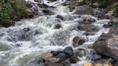 Kuzey Kafkasya boğazındaki dağ nehri.