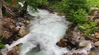 Ormandaki dağ nehri. Kuzey Kafkasya 'nın manzarası ve doğası