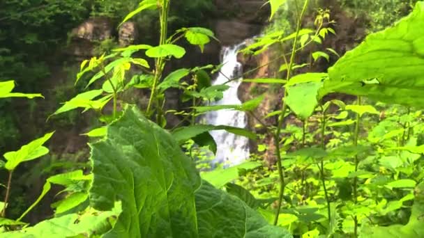 Nice View Waterfall Mountains North Caucasus Landscape Nature North Caucasus — Stock Video