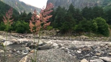 Kuzey Kafkasya boğazındaki dağ nehri.
