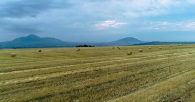 Şehrin dışındaki tarlaların havadan görünüşü