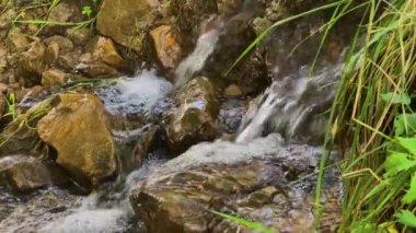 Dağ deresinde küçük bir şelale. Dağ yamacındaki çimlerin arasında akan su