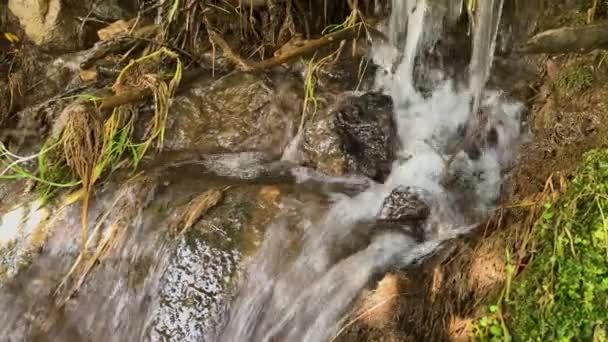 Маленький Водопад Горном Ручье Поток Воды Среди Травы Склоне Горы — стоковое видео