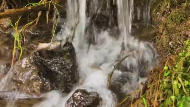 Pequeña Cascada Arroyo Montaña Agua Que Fluye Entre Hierba Ladera — Vídeo de stock