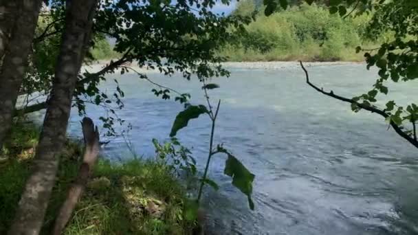 Гірська Річка Чистою Водою Лісі Ландшафт Природа Північного Кавказу — стокове відео