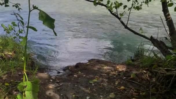 Río Montaña Con Agua Clara Bosque Paisaje Naturaleza Del Cáucaso — Vídeos de Stock