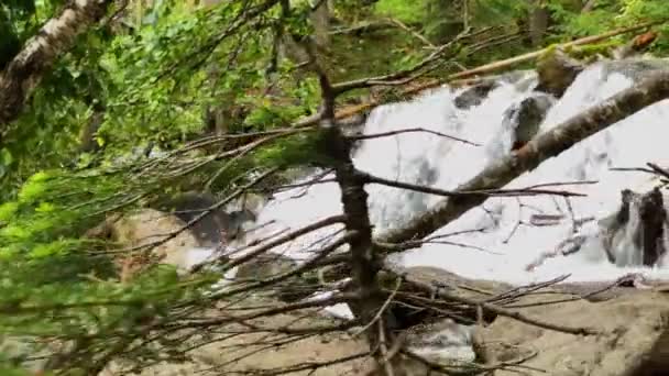 Pittoresca Cascata Fiume Montagna Nella Foresta Paesaggio Natura Del Caucaso — Video Stock