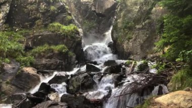 Ormandaki bir dağ nehrinden gelen resim gibi bir şelale. Kuzey Kafkasya 'nın manzarası ve doğası. Rusya 'da seyahat