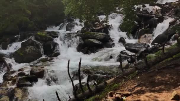 Pittoresca Cascata Fiume Montagna Nella Foresta Paesaggio Natura Del Caucaso — Video Stock