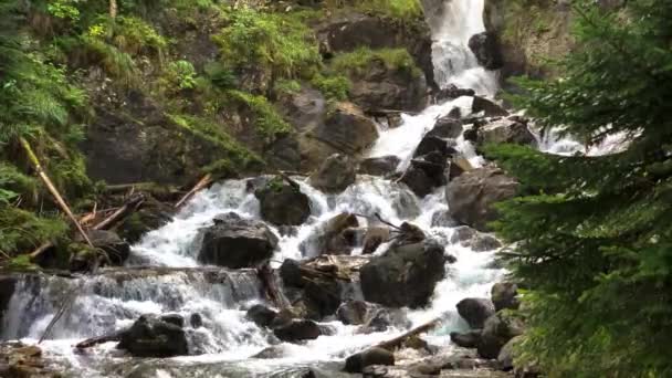 Чудовий Водоспад Гірської Річки Лісі Ландшафт Природа Північного Кавказу Подорожі — стокове відео