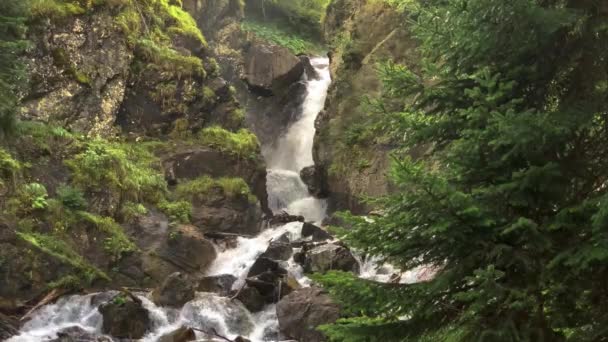 Cascada Pitorească Dintr Râu Munte Din Pădure Peisajul Natura Caucazului — Videoclip de stoc