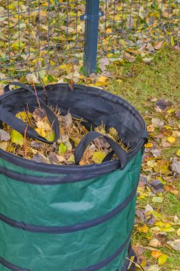 Mevsimlik temizlik sonrası dökülen yapraklarla dolu katlanabilir bahçe torbası. Yüksek kalite fotoğraf