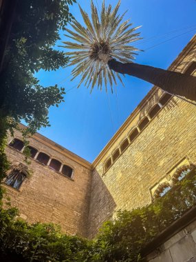 İç avluda yetişen uzun palmiye ağaçları antik taş duvarlar ve kavisli pencerelerle çevrili, aşağıdan temiz mavi gökyüzüne bakıyor. Yüksek kalite fotoğraf