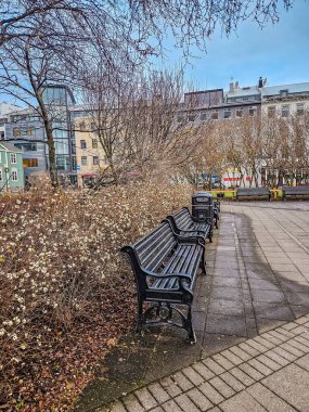 Çıplak ağaçlar ve kış çalıları olan sessiz bir şehir parkında boş siyah banklar. Sakin şehir atmosferi, insan yok, soğuk mevsim şehir yaşam tarzı. Yüksek kalite fotoğraf