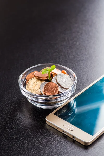 Tasarruf Paralarında Büyüyen Bitki - Yatırım ve İlgi Konsepti