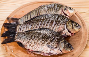 Kesme tahtasındaki taze balık