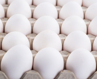 Yumurta, tavuk yumurta doğal 