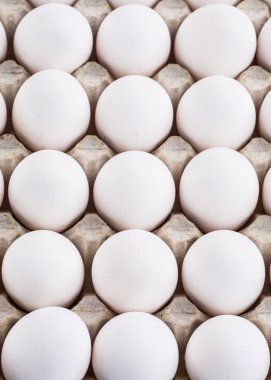 Yumurta, tavuk yumurta doğal
