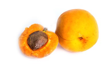 Beyaz arka planda olgun kayısılar.