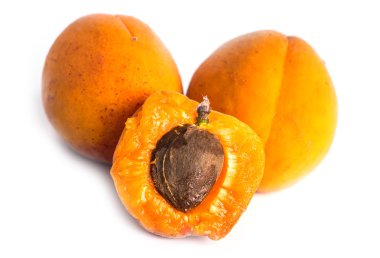 Beyaz arka planda olgun kayısılar.