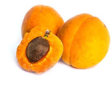 Beyaz arka planda olgun kayısılar.