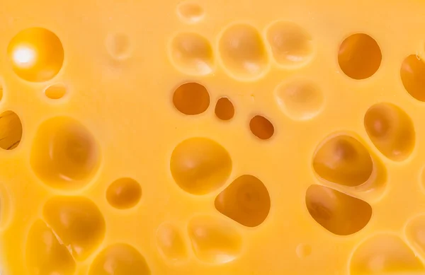 Bir parça peynir izole..