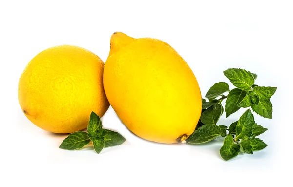 Limón aislado sobre fondo blanco. — Foto de Stock