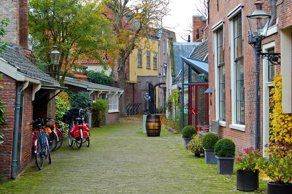 Haarlem, Hollanda-Kasım 09,2008: Geleneksel Hollanda sonbahar sokak sahnesinde Haarlem