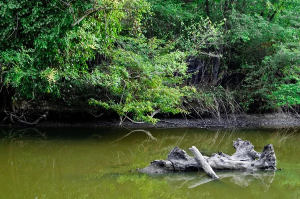 Igneada Nehri