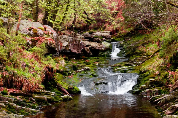 Una escena fluvial de Ardenas — Foto de Stock