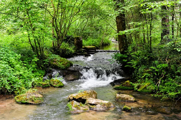 Una escena fluvial de los hermosos senderos de senderismo de la zona de las Ardenas — Foto de Stock