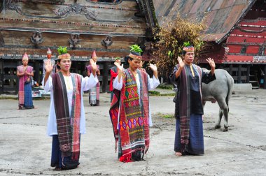  Sumatra, Endonezya - 22 Mayıs 2015: geleneksel Batak dansçıları Toba Gölü