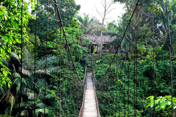 Tangkahan bridge on the Buluh River
