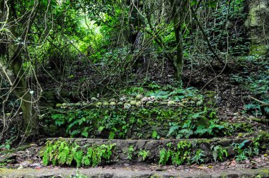 Bali, Endonezya, 26 Mayıs, 2015: kafatasları Bali Trunyan Köyü mezarlığı