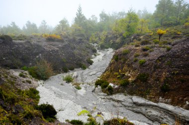 Azores Monte Escuro tepe lawa yolları