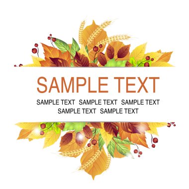 sonbahar şablonuyla bir yaprak ve meyveleri