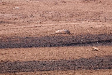 Tarla sürme mevsiminde kırsal arazide patlamamış savaş bombası bulundu. Savaş sonrası tehlike ve güvenlik tepkisi gibi ıssız topraklarda terk edilmiş savaş kalıntıları bulundu.