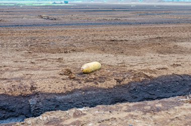 Tarla sürme mevsiminde kırsal arazide patlamamış savaş bombası bulundu. Savaş sonrası tehlike ve güvenlik tepkisi gibi ıssız topraklarda terk edilmiş savaş kalıntıları bulundu.