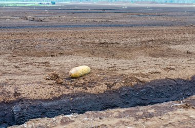 Tarla sürme mevsiminde kırsal arazide patlamamış savaş bombası bulundu. Savaş sonrası tehlike ve güvenlik tepkisi gibi ıssız topraklarda terk edilmiş savaş kalıntıları bulundu.
