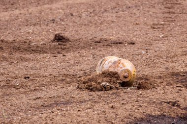 Tarla sürme mevsiminde kırsal arazide patlamamış savaş bombası bulundu. Savaş sonrası tehlike ve güvenlik tepkisi gibi ıssız topraklarda terk edilmiş savaş kalıntıları bulundu.