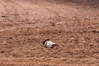 Tarla sürme mevsiminde kırsal arazide patlamamış savaş bombası bulundu. Savaş sonrası tehlike ve güvenlik tepkisi gibi ıssız topraklarda terk edilmiş savaş kalıntıları bulundu.