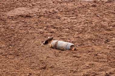 Tarla sürme mevsiminde kırsal arazide patlamamış savaş bombası bulundu. Savaş sonrası tehlike ve güvenlik tepkisi gibi ıssız topraklarda terk edilmiş savaş kalıntıları bulundu.