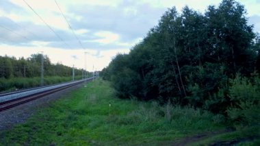 Sunlit railway line cutting through lush green forest and open farmland. Aerial view of railway tracks at sunset, calm rural mood, mixed farmland and forest landscape, ideal for transport and nature themes