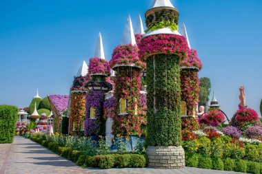 Dubai Mucize Bahçesi 'nin güzel manzarası