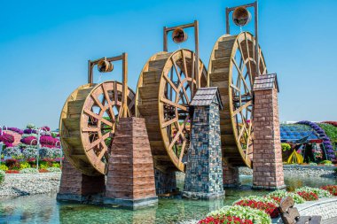 Dubai Mucize Bahçesi 'nde çiçeklerle çevrili su çarkları