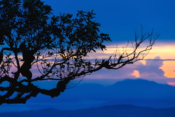 Puesta de sol con silueta en alta montaña — Foto de Stock