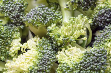 Sebze. Brokoli dilim.