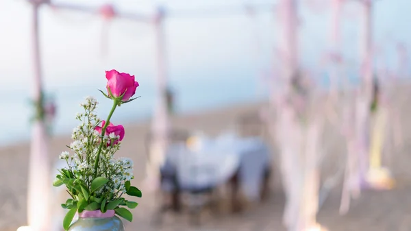 Flores em vaso — Fotografia de Stock